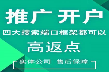 探索专业SEM托管的奥秘：从案例看效果